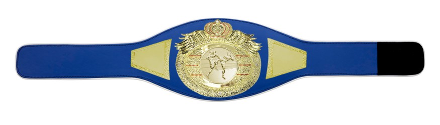*NEW* PROICON THAI BOXING CHAMPIONSHIP BELT/G/TBOG - AVAILABLE IN 6+ COLOURS